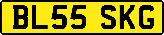 BL55SKG