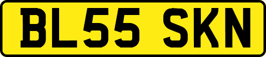 BL55SKN