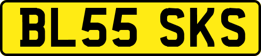 BL55SKS