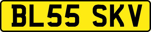 BL55SKV