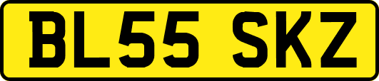 BL55SKZ