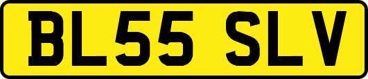 BL55SLV