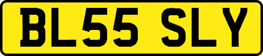 BL55SLY