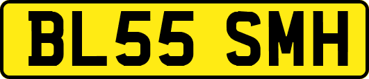 BL55SMH
