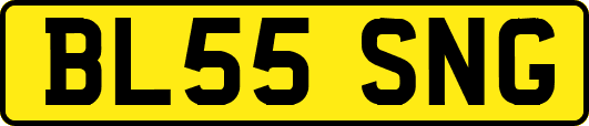 BL55SNG