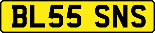 BL55SNS