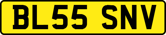 BL55SNV