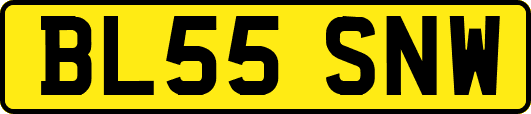 BL55SNW