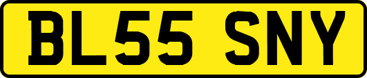 BL55SNY