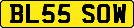 BL55SOW