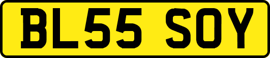 BL55SOY