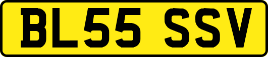 BL55SSV