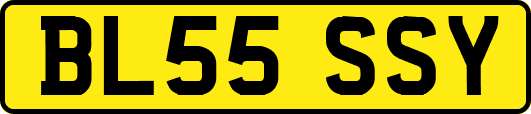 BL55SSY