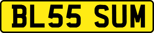 BL55SUM