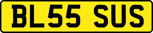 BL55SUS