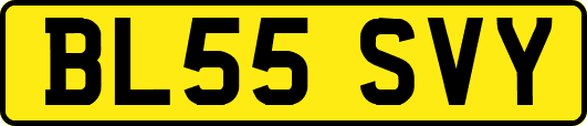 BL55SVY