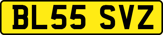 BL55SVZ