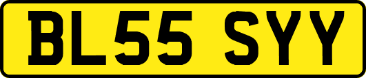 BL55SYY