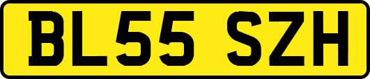BL55SZH