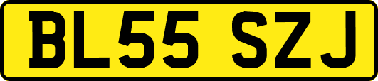 BL55SZJ