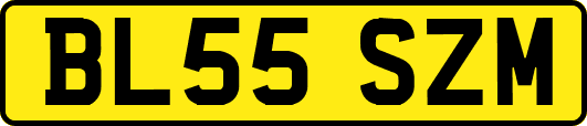 BL55SZM