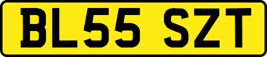 BL55SZT