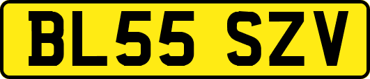 BL55SZV