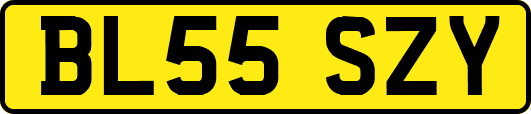 BL55SZY
