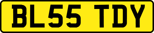 BL55TDY