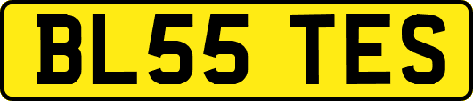 BL55TES