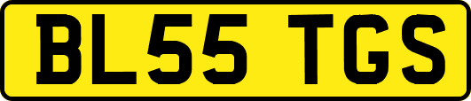 BL55TGS