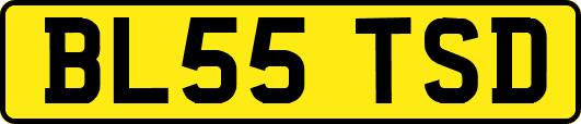 BL55TSD