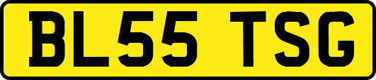 BL55TSG