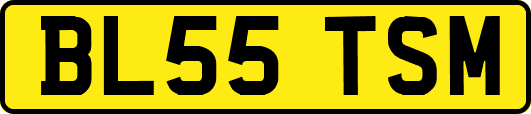 BL55TSM