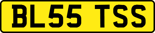 BL55TSS
