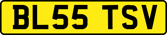 BL55TSV