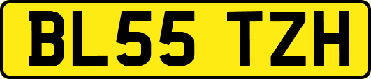 BL55TZH