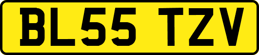 BL55TZV