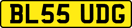 BL55UDG