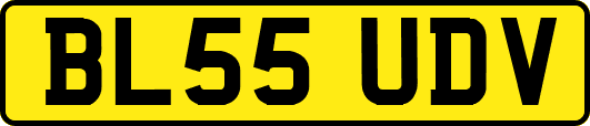 BL55UDV