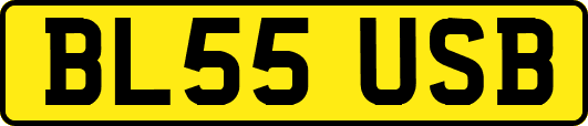 BL55USB
