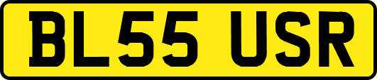 BL55USR