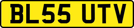 BL55UTV