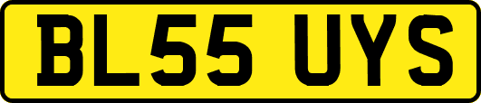 BL55UYS