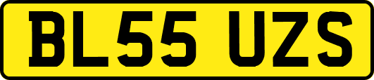 BL55UZS
