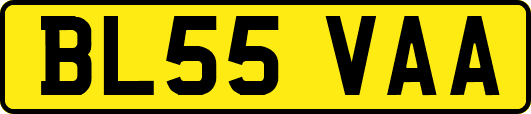 BL55VAA