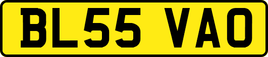 BL55VAO