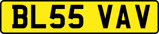BL55VAV