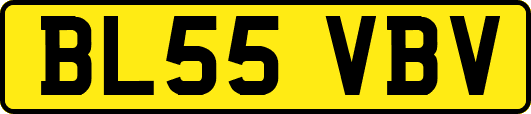 BL55VBV