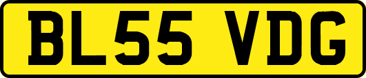BL55VDG